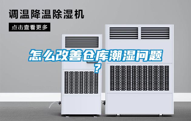 怎么改善倉庫潮濕問題？