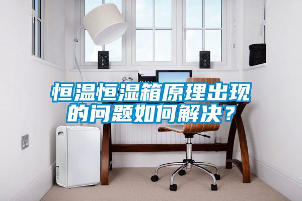 恒溫恒濕箱原理出現(xiàn)的問題如何解決？