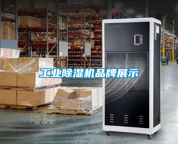 工業(yè)除濕機品牌展示