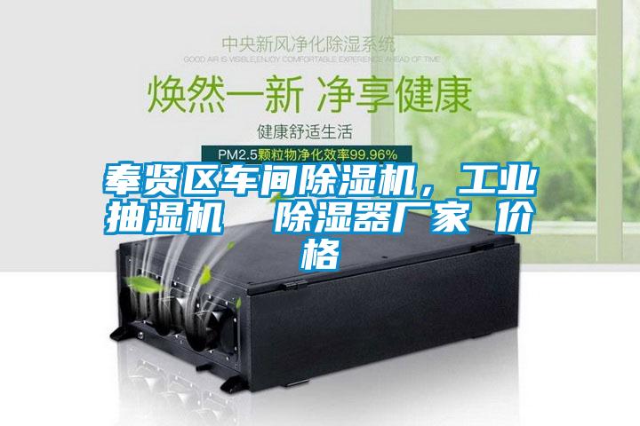 奉賢區(qū)車間除濕機，工業(yè)抽濕機  除濕器廠家 價格