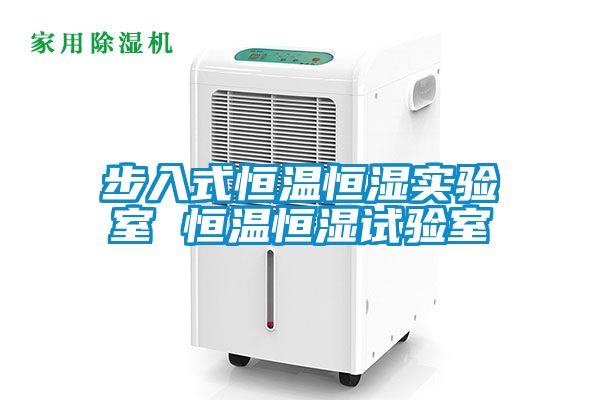步入式恒溫恒濕實(shí)驗(yàn)室 恒溫恒濕試驗(yàn)室