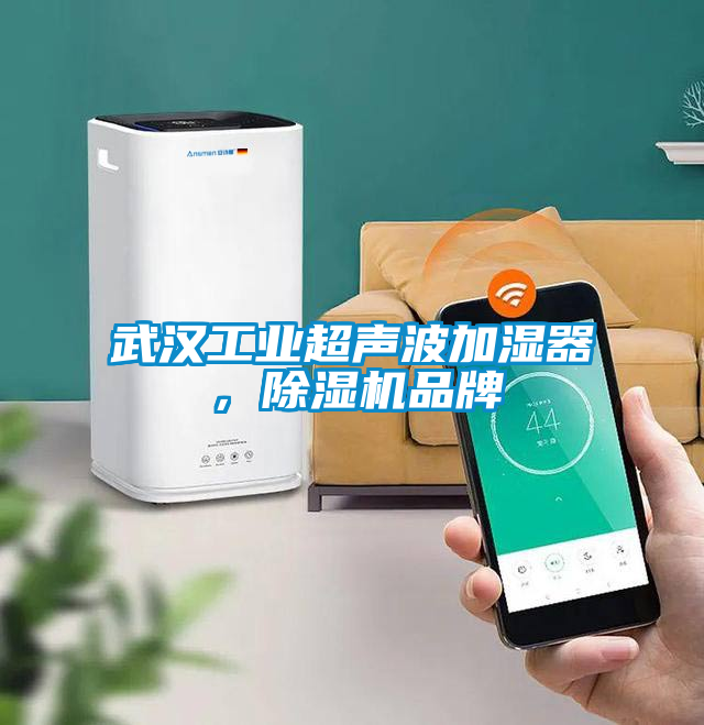 武漢工業(yè)超聲波加濕器，除濕機(jī)品牌