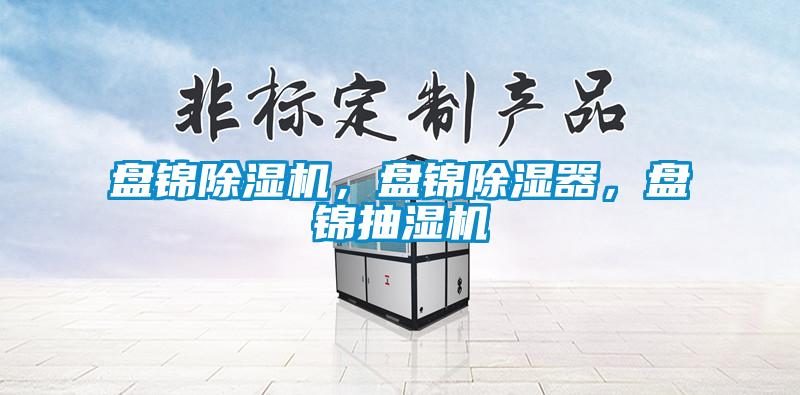 盤錦除濕機，盤錦除濕器，盤錦抽濕機