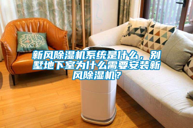 新風(fēng)除濕機系統(tǒng)是什么，別墅地下室為什么需要安裝新風(fēng)除濕機？