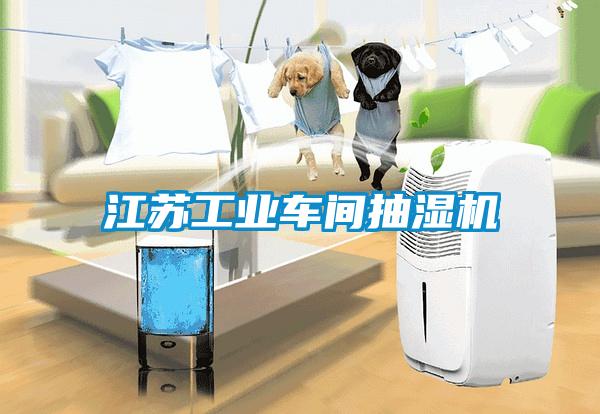 江蘇工業(yè)車間抽濕機(jī)