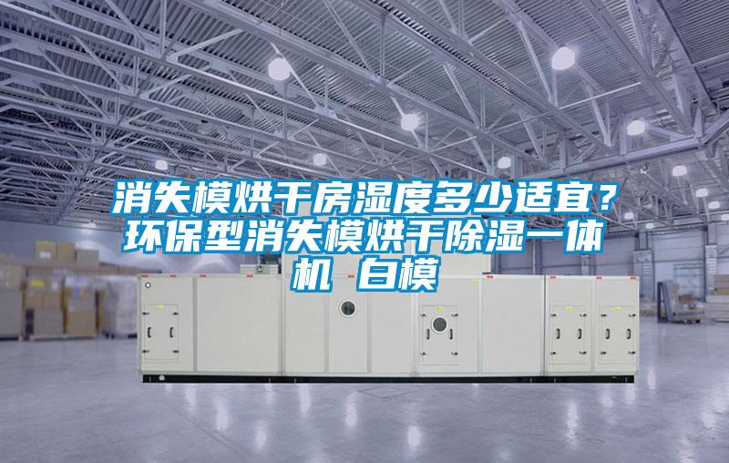 消失模烘干房濕度多少適宜？環(huán)保型消失模烘干除濕一體機(jī) 白模