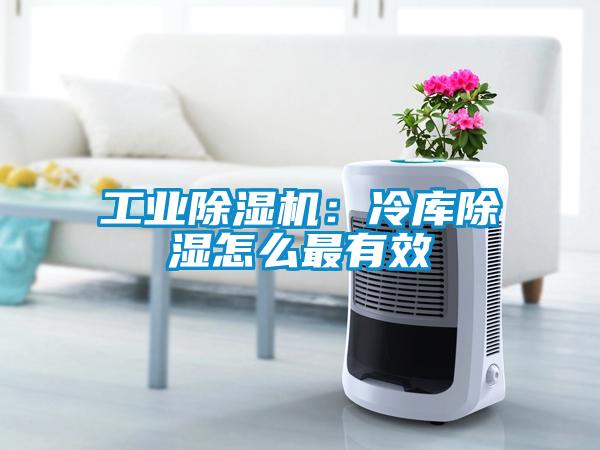 工業(yè)除濕機：冷庫除濕怎么最有效