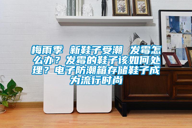 梅雨季 新鞋子受潮 發(fā)霉怎么辦？發(fā)霉的鞋子該如何處理？電子防潮箱存儲(chǔ)鞋子成為流行時(shí)尚