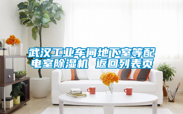 武漢工業(yè)車(chē)間地下室等配電室除濕機(jī) 返回列表頁(yè)