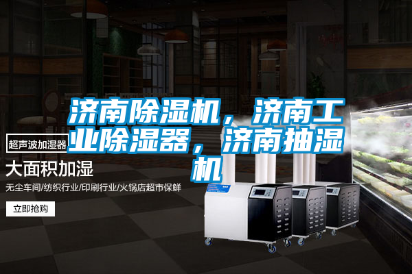濟南除濕機，濟南工業(yè)除濕器，濟南抽濕機