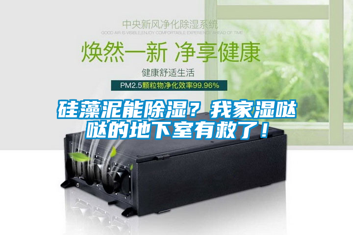 硅藻泥能除濕？我家濕噠噠的地下室有救了！