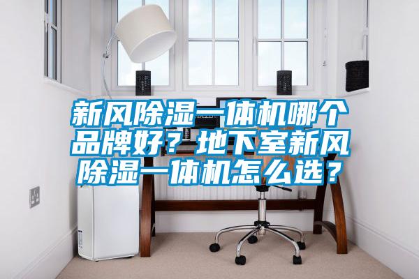 新風(fēng)除濕一體機(jī)哪個品牌好？地下室新風(fēng)除濕一體機(jī)怎么選？