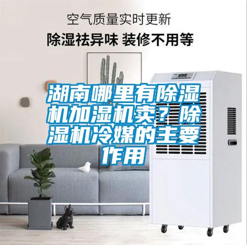 湖南哪里有除濕機(jī)加濕機(jī)賣？除濕機(jī)冷媒的主要作用