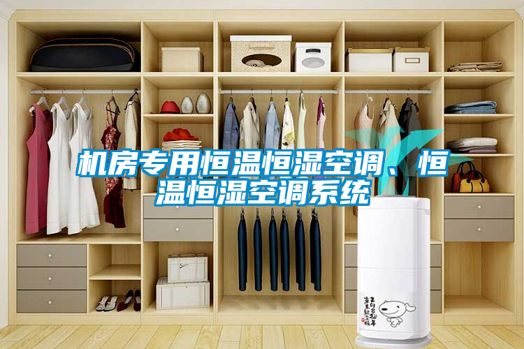 機(jī)房專用恒溫恒濕空調(diào)、恒溫恒濕空調(diào)系統(tǒng)