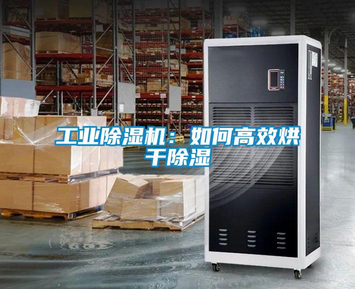 工業(yè)除濕機：如何高效烘干除濕