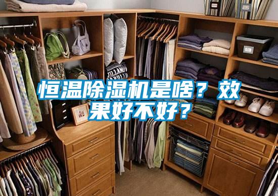 恒溫除濕機(jī)是啥？效果好不好？