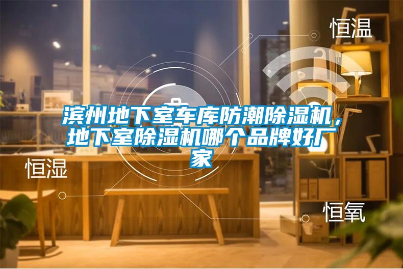 濱州地下室車庫(kù)防潮除濕機(jī)，地下室除濕機(jī)哪個(gè)品牌好廠家