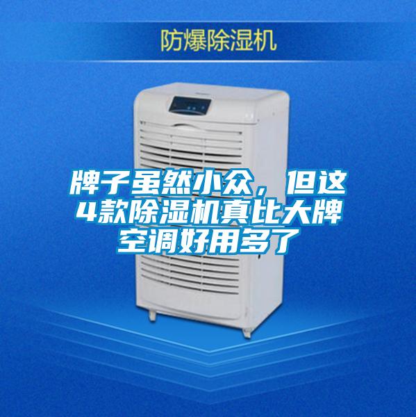 牌子雖然小眾，但這4款除濕機(jī)真比大牌空調(diào)好用多了