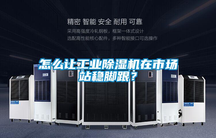 怎么讓工業(yè)除濕機(jī)在市場站穩(wěn)腳跟？