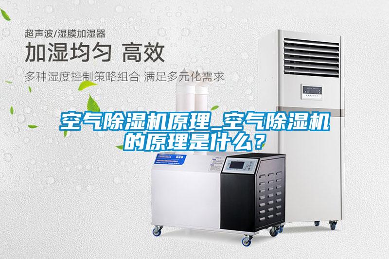 空氣除濕機原理_空氣除濕機的原理是什么？