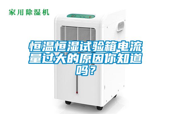 恒溫恒濕試驗(yàn)箱電流量過大的原因你知道嗎？