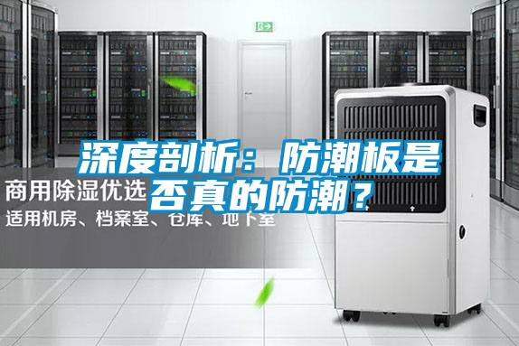 深度剖析：防潮板是否真的防潮？