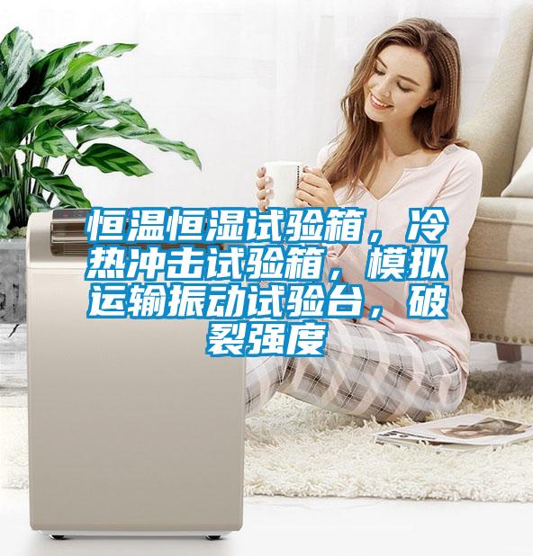 恒溫恒濕試驗箱，冷熱沖擊試驗箱，模擬運輸振動試驗臺，破裂強度