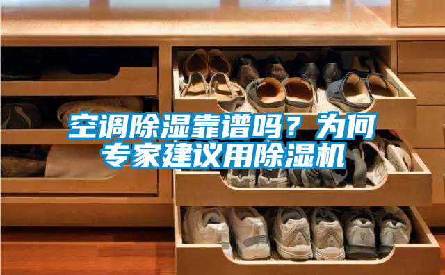 空調(diào)除濕靠譜嗎？為何專家建議用除濕機(jī)