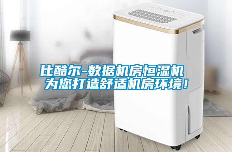 比酷爾-數(shù)據(jù)機(jī)房恒濕機(jī) 為您打造舒適機(jī)房環(huán)境！