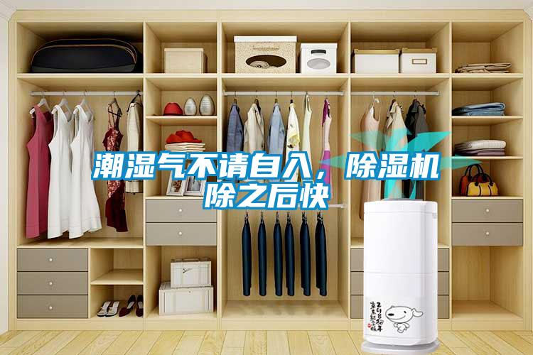 潮濕氣不請(qǐng)自入，除濕機(jī)除之后快