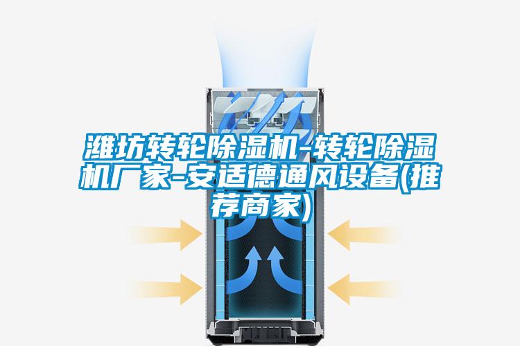 濰坊轉(zhuǎn)輪除濕機-轉(zhuǎn)輪除濕機廠家-安適德通風(fēng)設(shè)備(推薦商家)