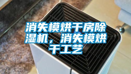 消失模烘干房除濕機(jī)，消失模烘干工藝
