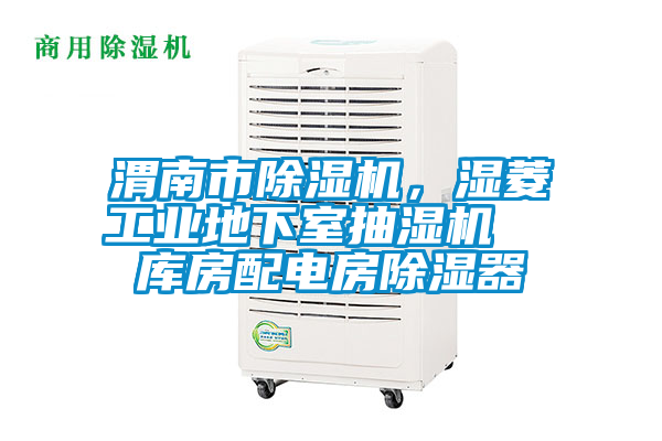 渭南市除濕機(jī)，濕菱工業(yè)地下室抽濕機(jī)  庫(kù)房配電房除濕器