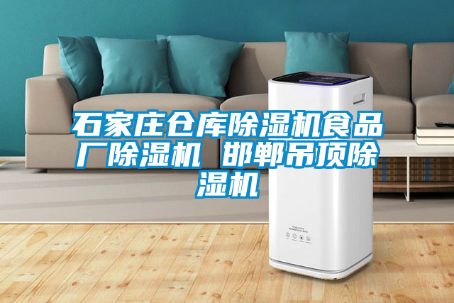 石家莊倉庫除濕機(jī)食品廠除濕機(jī) 邯鄲吊頂除濕機(jī)
