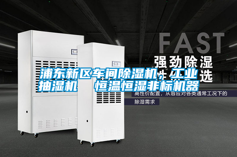 浦東新區(qū)車(chē)間除濕機(jī)，工業(yè)抽濕機(jī)  恒溫恒濕非標(biāo)機(jī)器