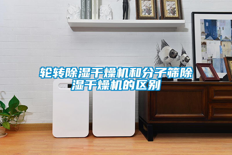 輪轉(zhuǎn)除濕干燥機和分子篩除濕干燥機的區(qū)別