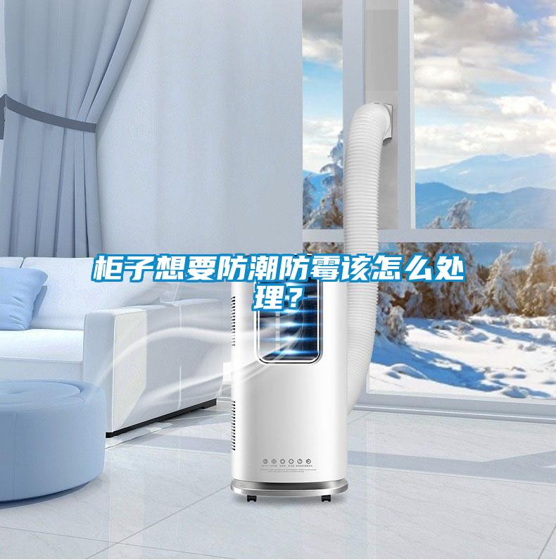 柜子想要防潮防霉該怎么處理？