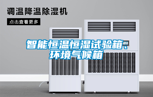 智能恒溫恒濕試驗箱、環(huán)境氣候箱