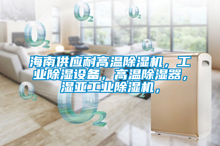 海南供應(yīng)耐高溫除濕機(jī)，工業(yè)除濕設(shè)備，高溫除濕器，濕亞工業(yè)除濕機(jī)，