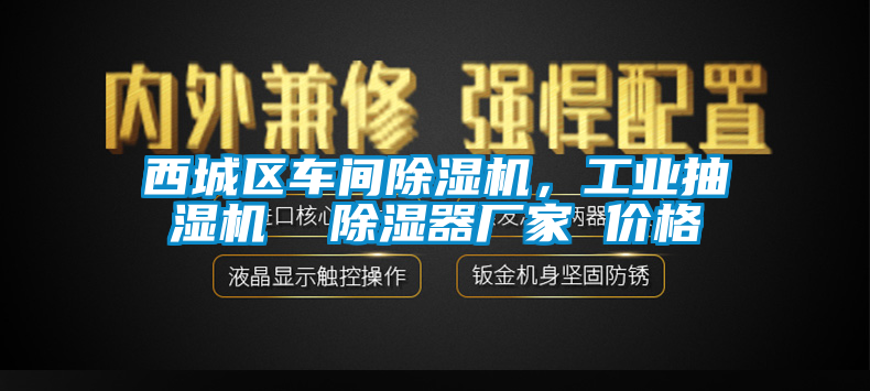 西城區(qū)車間除濕機(jī)，工業(yè)抽濕機(jī)  除濕器廠家 價(jià)格