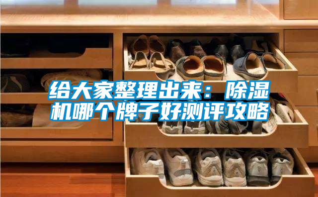 給大家整理出來：除濕機(jī)哪個(gè)牌子好測(cè)評(píng)攻略