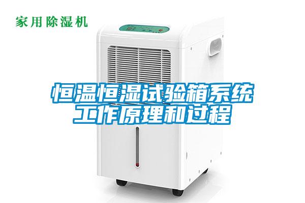 恒溫恒濕試驗箱系統(tǒng)工作原理和過程