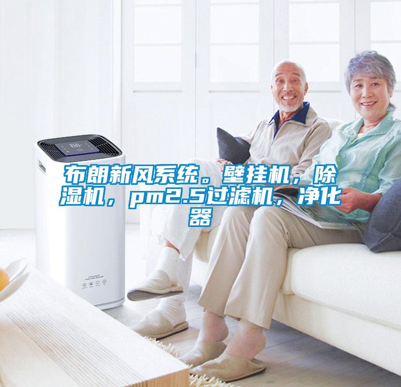 布朗新風(fēng)系統(tǒng)。壁掛機(jī)，除濕機(jī)，pm2.5過(guò)濾機(jī)，凈化器