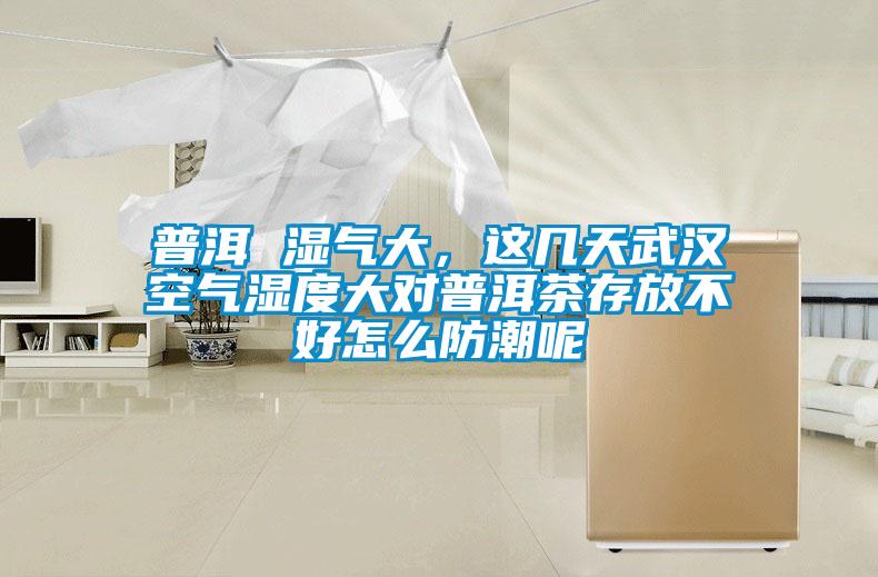 普洱 濕氣大，這幾天武漢空氣濕度大對(duì)普洱茶存放不好怎么防潮呢