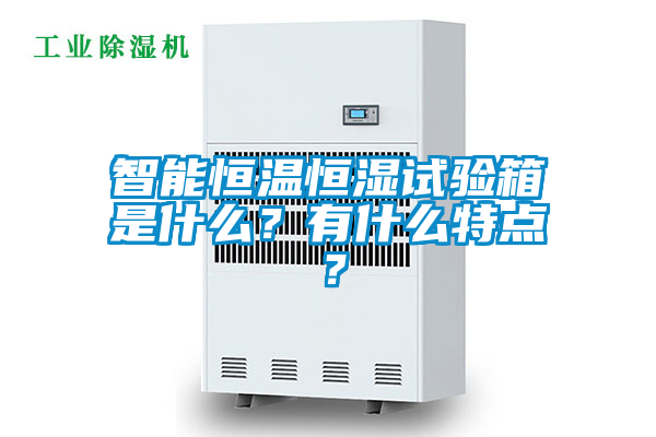 智能恒溫恒濕試驗箱是什么？有什么特點？
