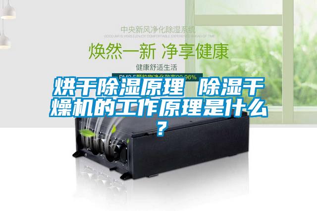 烘干除濕原理 除濕干燥機的工作原理是什么？