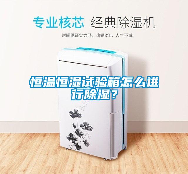 恒溫恒濕試驗(yàn)箱怎么進(jìn)行除濕？