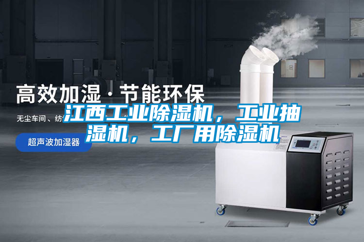 江西工業(yè)除濕機，工業(yè)抽濕機，工廠用除濕機