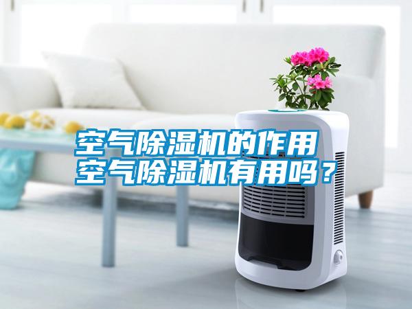 空氣除濕機(jī)的作用 空氣除濕機(jī)有用嗎？