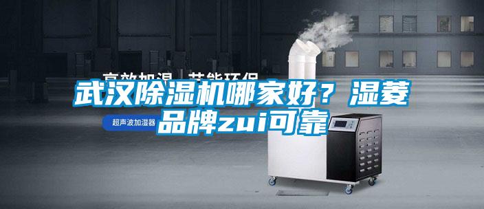 武漢除濕機哪家好？濕菱品牌zui可靠